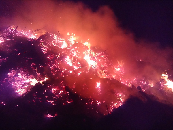 IMG_20180401_222532-600