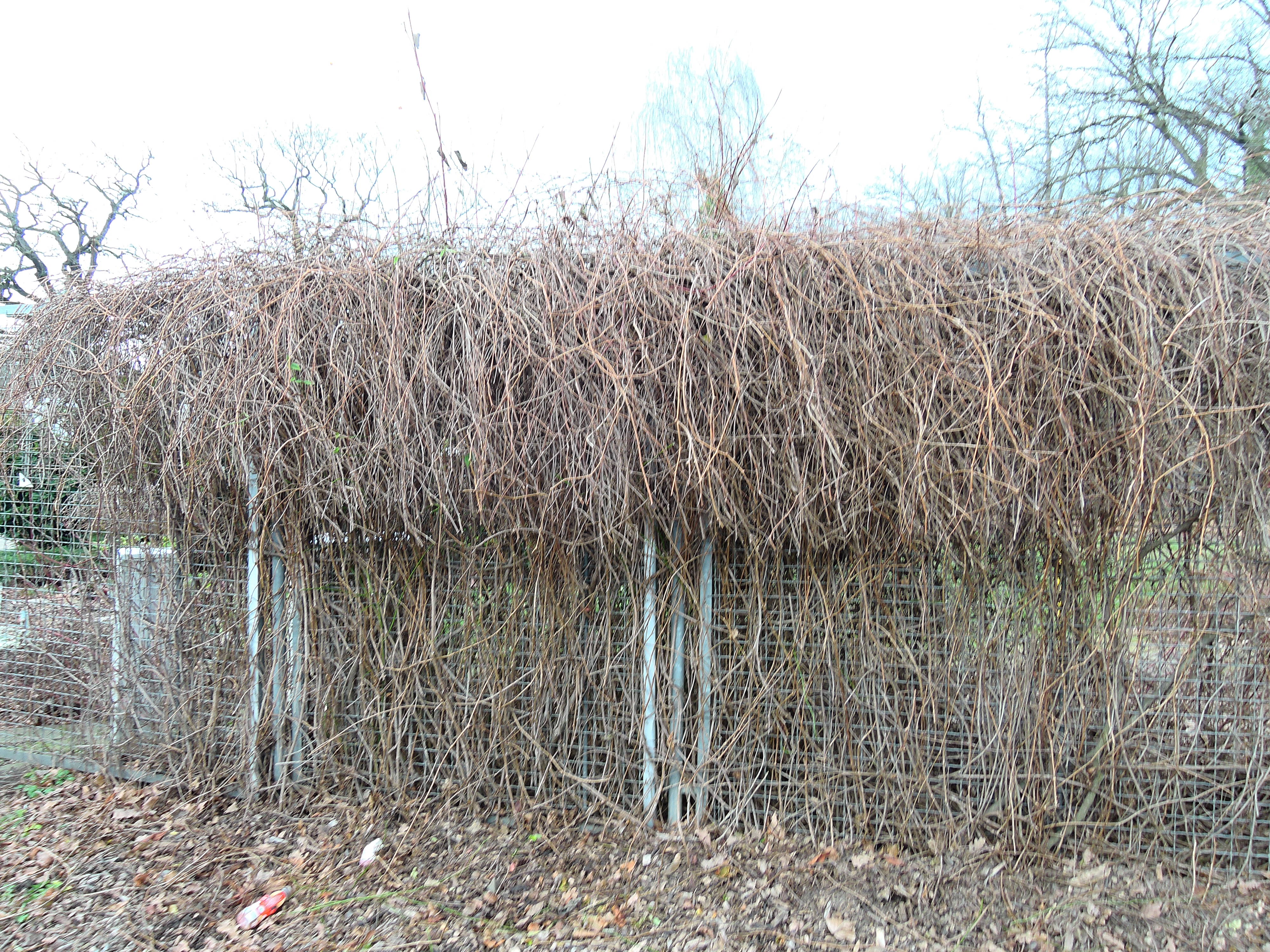 Zaun und Holz