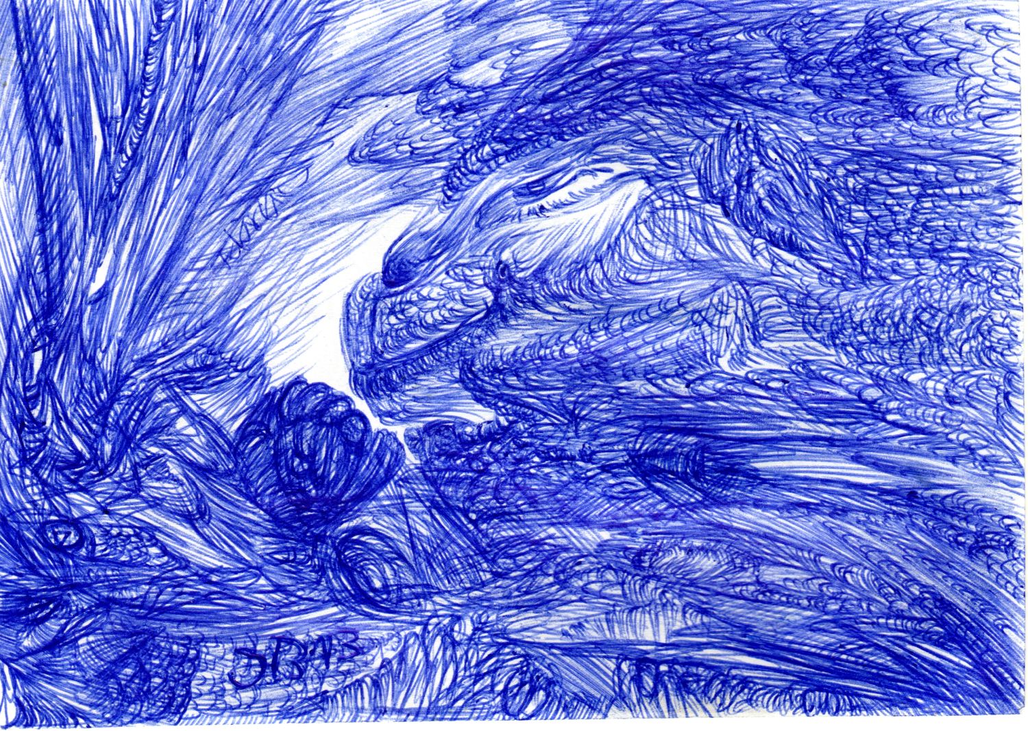 ball point pen doodle